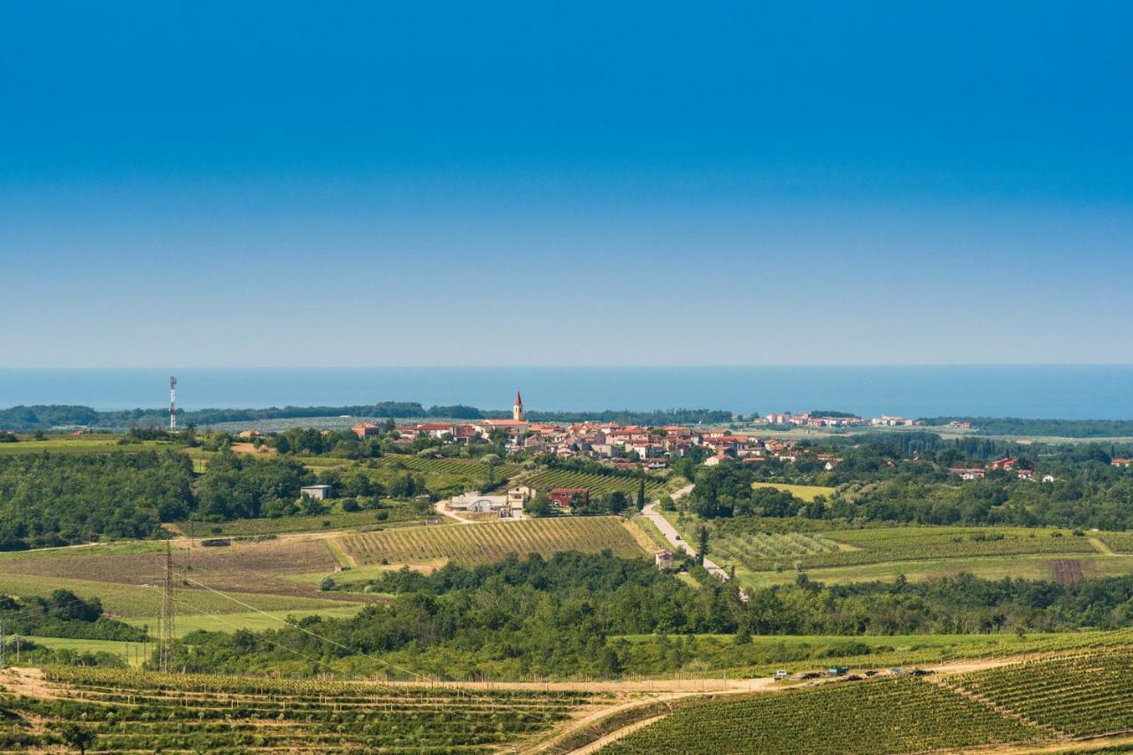 Damjanic Holiday House Brtonigla Esterno foto